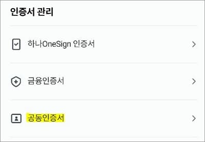 인증서관리 항목에서 공동인증서 메뉴 터치