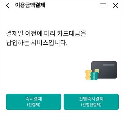 전체 또는 건별 결제 선택