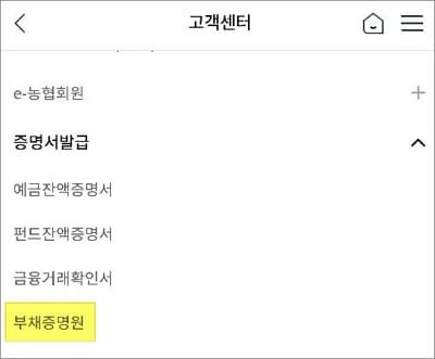 부채증명원 메뉴 선택