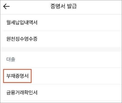 증명서 발급에서 부채증명서 선택