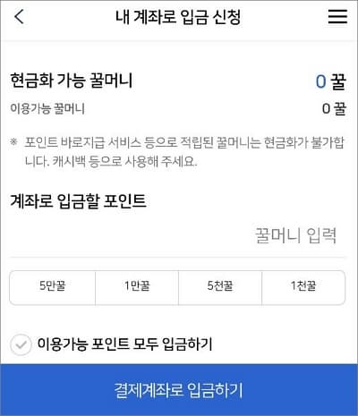 입금할 포인트 금액 입력