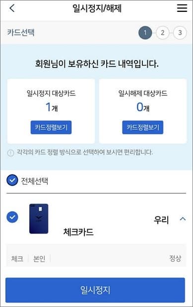 일시정지 카드 체크하기