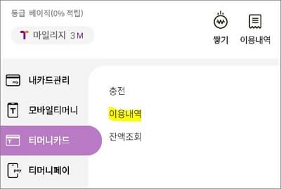 등록 카드 이용내역 조회