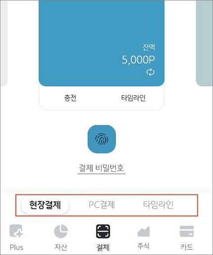 결제 비밀번호 입력하기