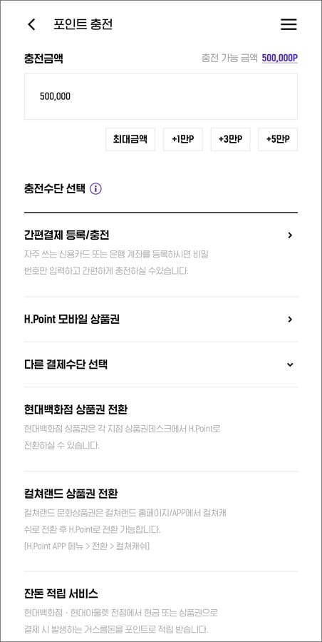 충전 금액 입력