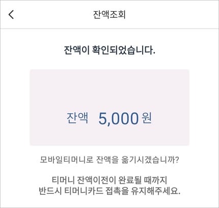 잔액 조회하기