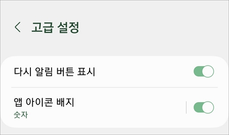 고급 설정 항목