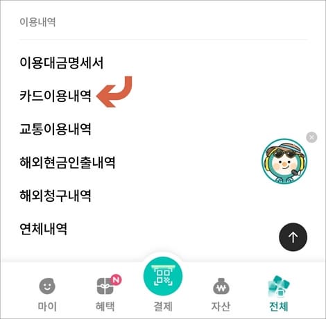카드 이용내역 터치