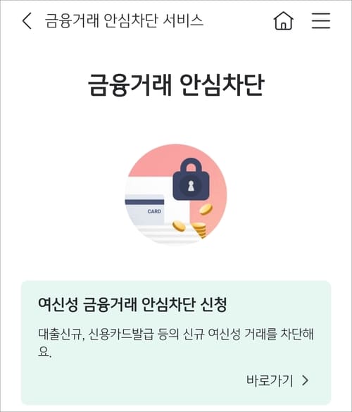 국민은행 대출 차단