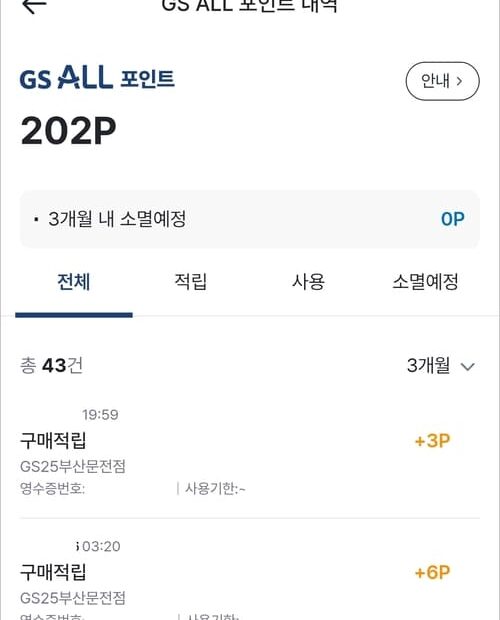 gs all 포인트